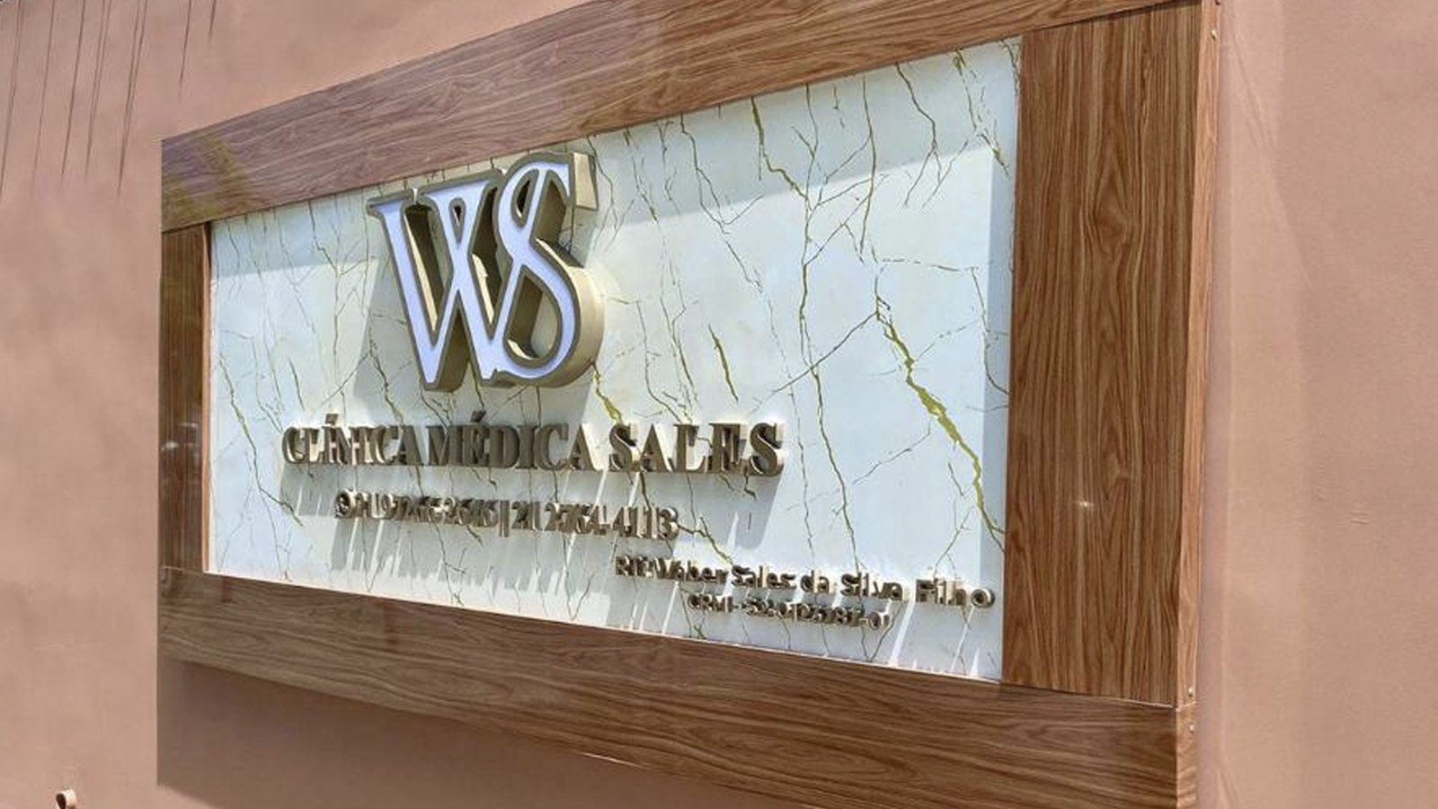 WS-bg8